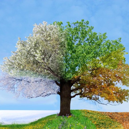 Living in Your Season